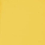Vibrant Yellow